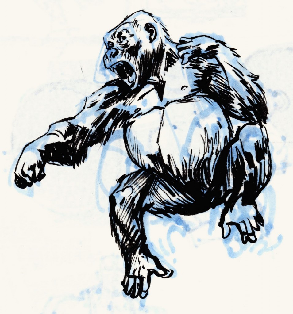gorilla